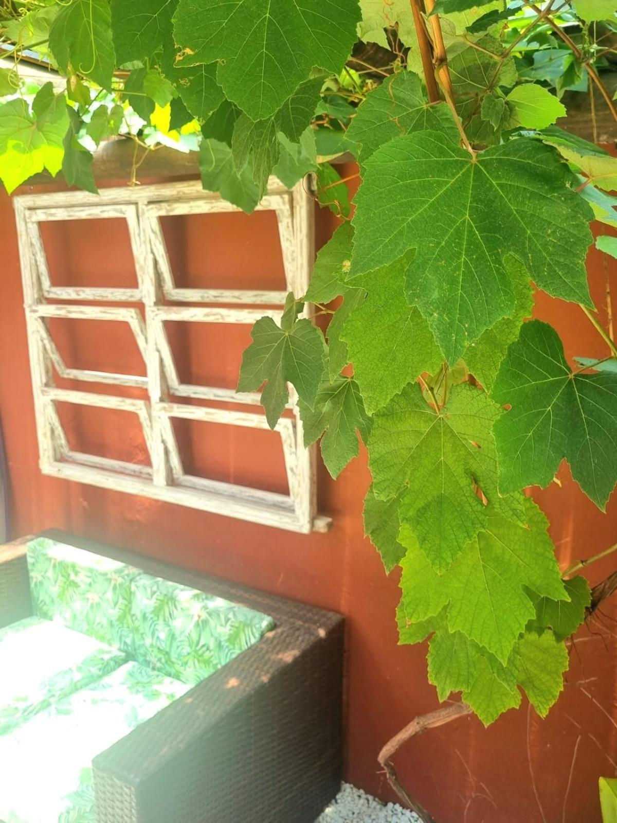 Vila Jabutis 瓜鲁雅 外观 照片