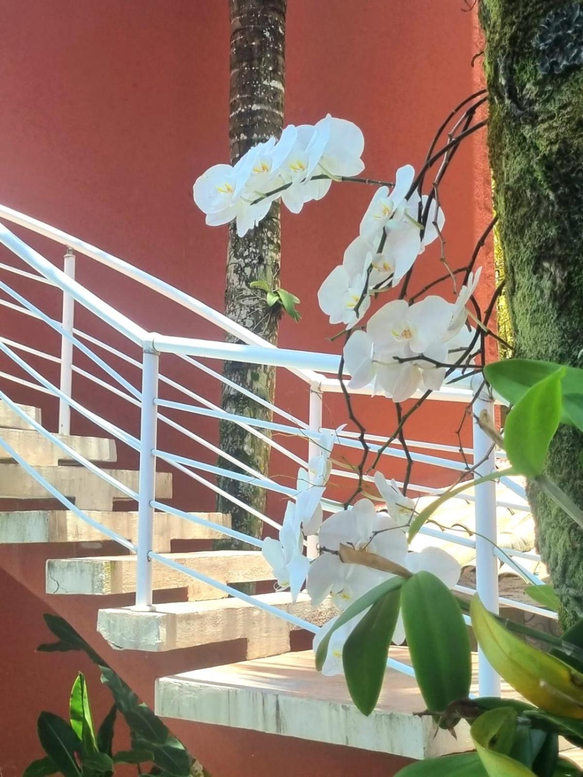 Vila Jabutis 瓜鲁雅 外观 照片